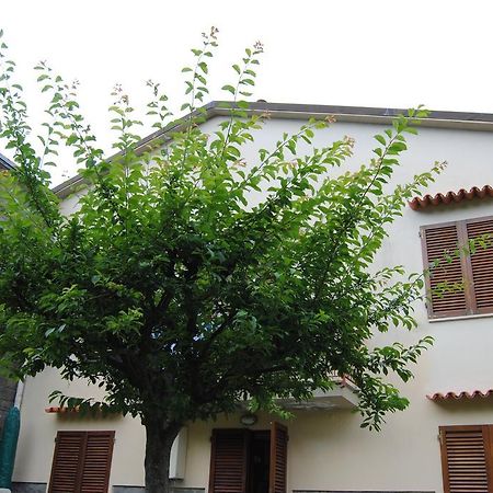 Il Susino Apartment Тирения Екстериор снимка