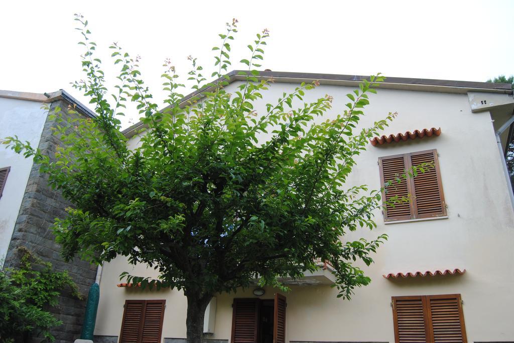 Il Susino Apartment Тирения Екстериор снимка